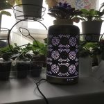 Metal Essential Oils Diffuser 7 Colors Night Light Auto Shut Off photo review