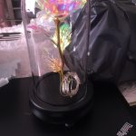 Beauty and The Beast Rose Flower Light In Glass Dome photo review