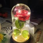 Beauty and The Beast Rose Flower Light In Glass Dome photo review