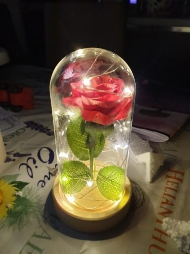 Beauty and The Beast Rose Flower Light In Glass Dome photo review