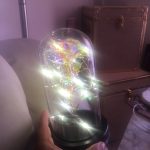 Beauty and The Beast Rose Flower Light In Glass Dome photo review