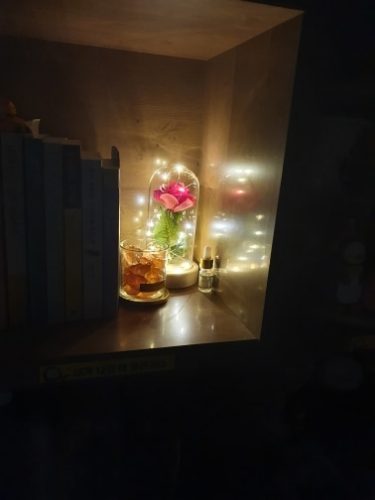 Beauty and The Beast Gold Foil Rose Flower LED Light In Glass Dome photo review