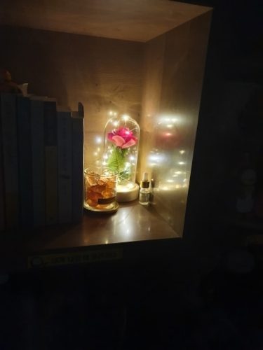 Beauty and The Beast Rose Flower Light In Glass Dome photo review