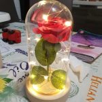 Beauty and The Beast Rose Flower Light In Glass Dome photo review
