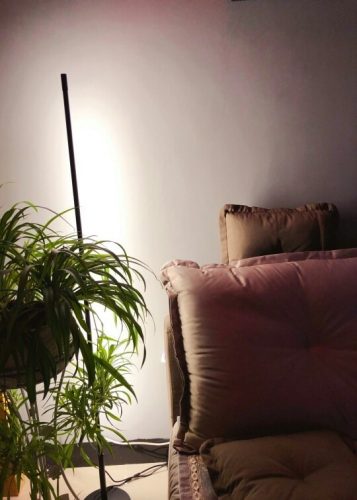 Modern Minimalist LED Floor Lamp photo review