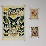 Vintage Wild Plant Botanical Posters On Canvas photo review