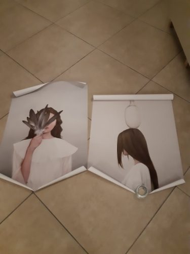 Abstract Woman And Feathers Modern Wall Art On Canvas photo review