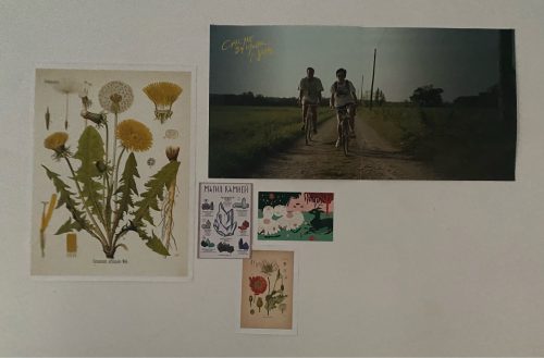 Vintage Wild Plant Botanical Posters On Canvas photo review