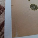 Vintage Wild Plant Botanical Posters On Canvas photo review