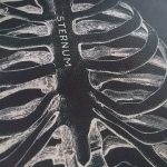 Human Anatomy Prints On Black Canvas photo review