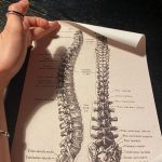 Human Anatomy Vintage Canvas Print photo review