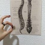 Human Anatomy Vintage Canvas Print photo review