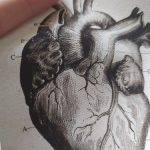 Human Anatomy Vintage Canvas Print photo review