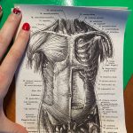 Human Anatomy Vintage Canvas Print photo review