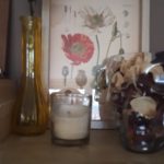 Vintage Wild Plant Botanical Posters On Canvas photo review