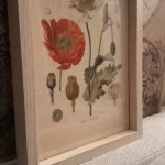 Vintage Wild Plant Botanical Posters On Canvas photo review