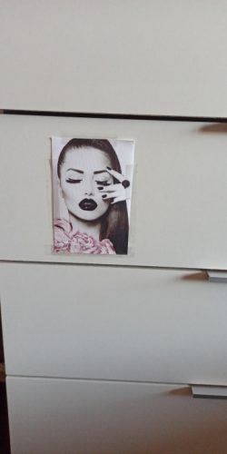 Pink Flower And Perfume Fashion Makeup Wall Art photo review