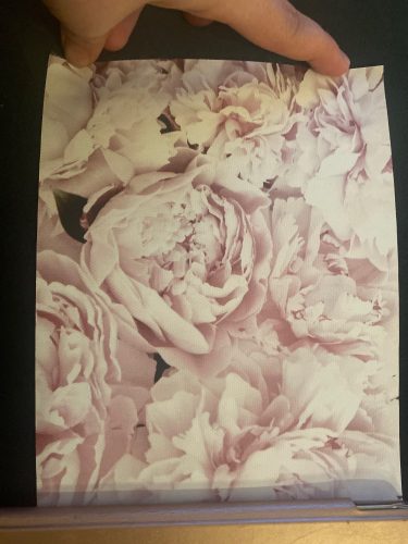Pink Flower And Perfume Fashion Makeup Wall Art photo review